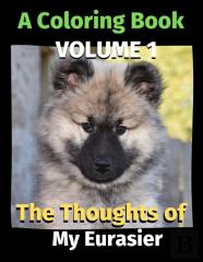 The Thoughts Of My Eurasier