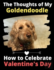 The Thoughts Of My Goldendoodle: How To