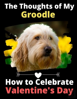 Bertrand.pt - The Thoughts Of My Groodle: How To Celeb