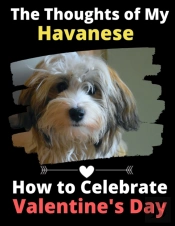 The Thoughts Of My Havanese: How To Cele