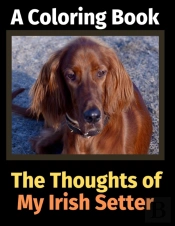 The Thoughts Of My Irish Setter: A Color
