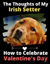 The Thoughts Of My Irish Setter: How To