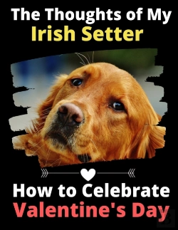 Bertrand.pt - The Thoughts Of My Irish Setter: How To