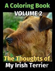 The Thoughts Of My Irish Terrier