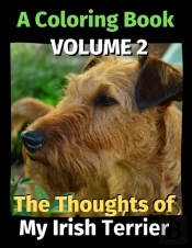 The Thoughts Of My Irish Terrier