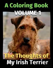 The Thoughts Of My Irish Terrier