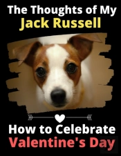 The Thoughts Of My Jack Russell: How To