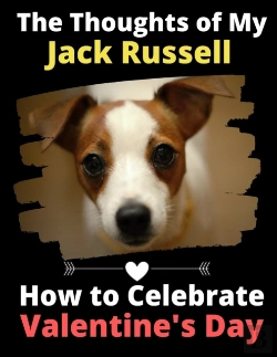 Bertrand.pt - The Thoughts Of My Jack Russell: How To