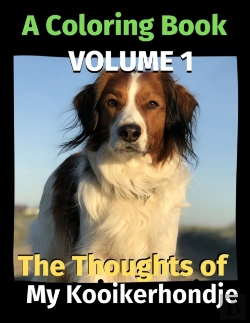 Bertrand.pt - The Thoughts Of My Kooikerhondje