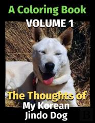 The Thoughts Of My Korean Jindo Dog