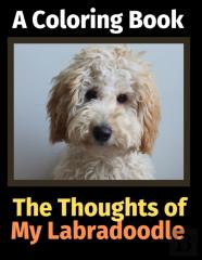 The Thoughts  Of My Labradoodle