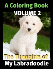 The Thoughts Of My Labradoodle