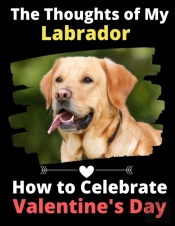 The Thoughts Of My Labrador