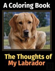 The Thoughts Of My Labrador