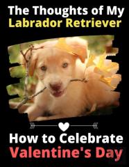 The Thoughts Of My Labrador Retriever