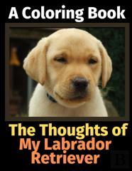 The Thoughts Of My Labrador Retriever