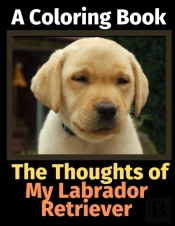The Thoughts Of My Labrador Retriever