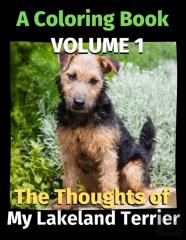 The Thoughts Of My Lakeland Terrier