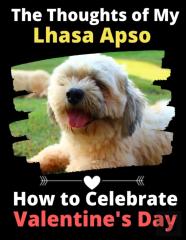 The Thoughts Of My Lhasa Apso