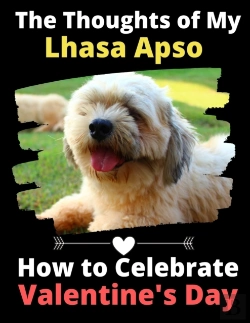 Bertrand.pt - The Thoughts Of My Lhasa Apso