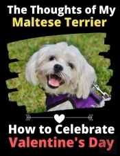 The Thoughts Of My Maltese Terrier