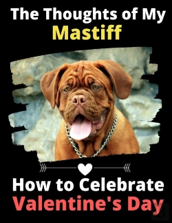 Bertrand.pt - The Thoughts Of My Mastiff