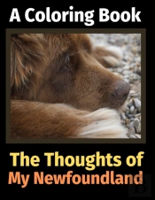 The Thoughts Of My Newfoundland