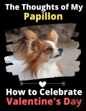 The Thoughts Of My Papillon