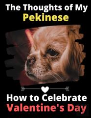 The Thoughts Of My Pekinese