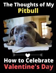 The Thoughts Of My Pitbull