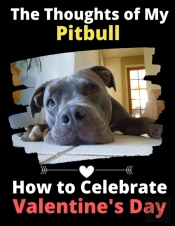 The Thoughts Of My Pitbull