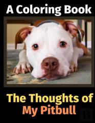 The Thoughts Of My Pitbull