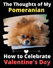 The Thoughts Of My Pomeranian