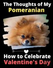 The Thoughts Of My Pomeranian