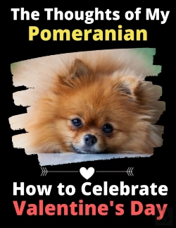 Bertrand.pt - The Thoughts Of My Pomeranian