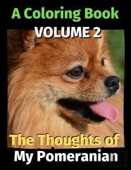 The Thoughts Of My Pomeranian