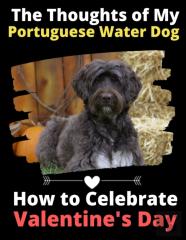 The Thoughts Of My Portuguese Water Dog