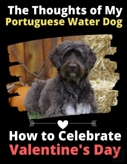 Bertrand.pt - The Thoughts Of My Portuguese Water Dog