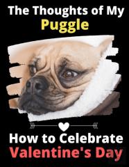 The Thoughts Of My Puggle