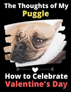 Bertrand.pt - The Thoughts Of My Puggle