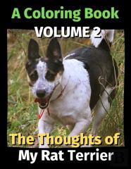 The Thoughts Of My Rat Terrier