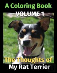 The Thoughts Of My Rat Terrier