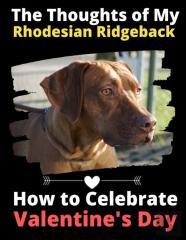 The Thoughts Of My Rhodesian Ridgeback