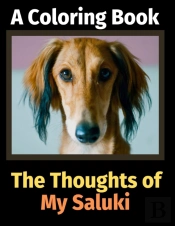 The Thoughts Of My Saluki