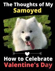 The Thoughts Of My Samoyed