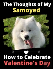 The Thoughts Of My Samoyed