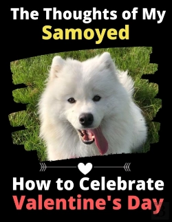 Bertrand.pt - The Thoughts Of My Samoyed