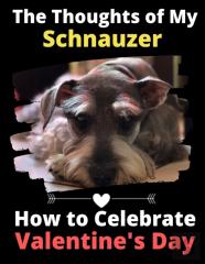 The Thoughts Of My Schnauzer