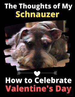 Bertrand.pt - The Thoughts Of My Schnauzer
