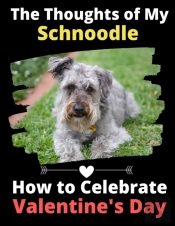 The Thoughts Of My Schnoodle
